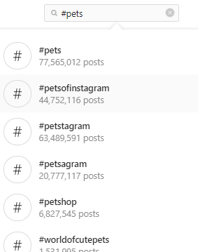 Hashtag search on Instagram